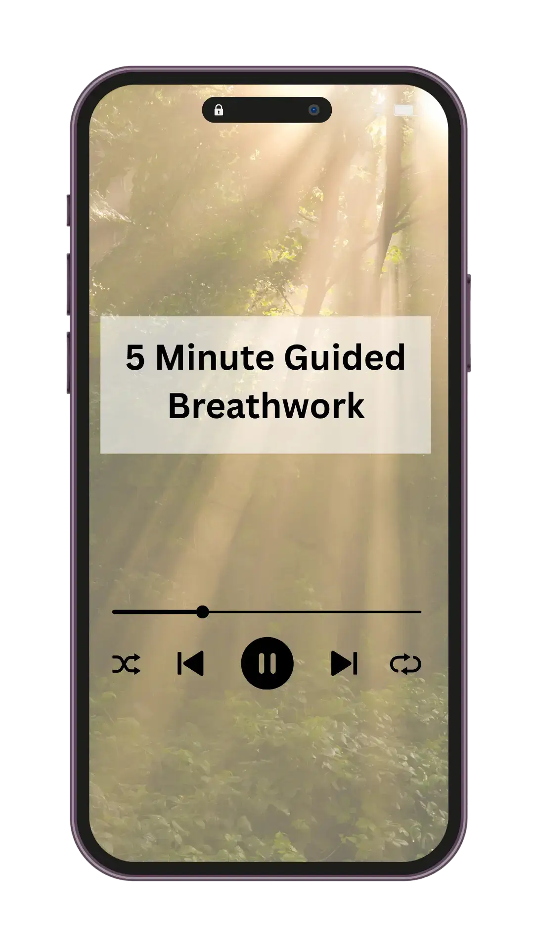 Mockup of the 5 minute guided breathwork audio